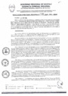 Vista preliminar de documento RDR0049-2024-ARAU