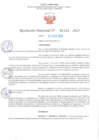 Vista preliminar de documento RD Nº001144 06-03-2023