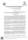 Vista preliminar de documento RDR Nº 2988-2024-GRSM-DRE