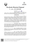 Vista preliminar de documento RDR Nº 2994-2024-GRSM-DRE