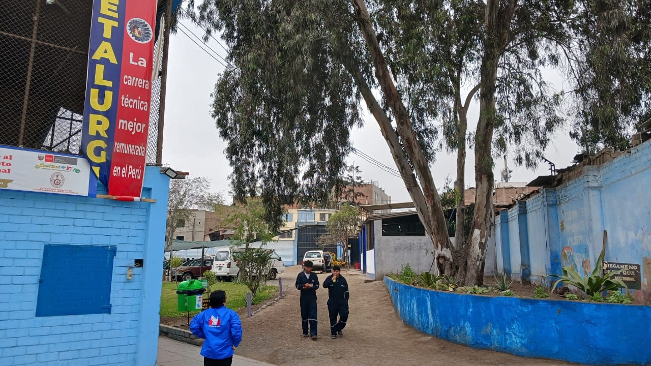 árbol por caer en instituto
