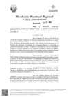 Vista preliminar de documento RDR Nº 3010-2024-GRSM-DRE