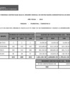 Vista preliminar de documento Reporte de personal CAS (2T 2010)