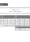 Vista preliminar de documento Reporte de personal CAS (1T 2013)