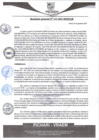 Vista preliminar de documento rgm453