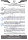 Vista preliminar de documento rgm454