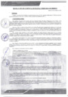 Vista preliminar de documento RGM_295_2024_MDM