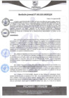Vista preliminar de documento rgm460