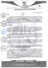 Vista preliminar de documento rgm462