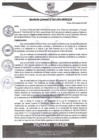 Vista preliminar de documento rgm463
