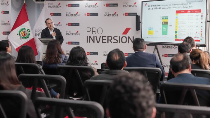 ProInversion Mecanismos Inst