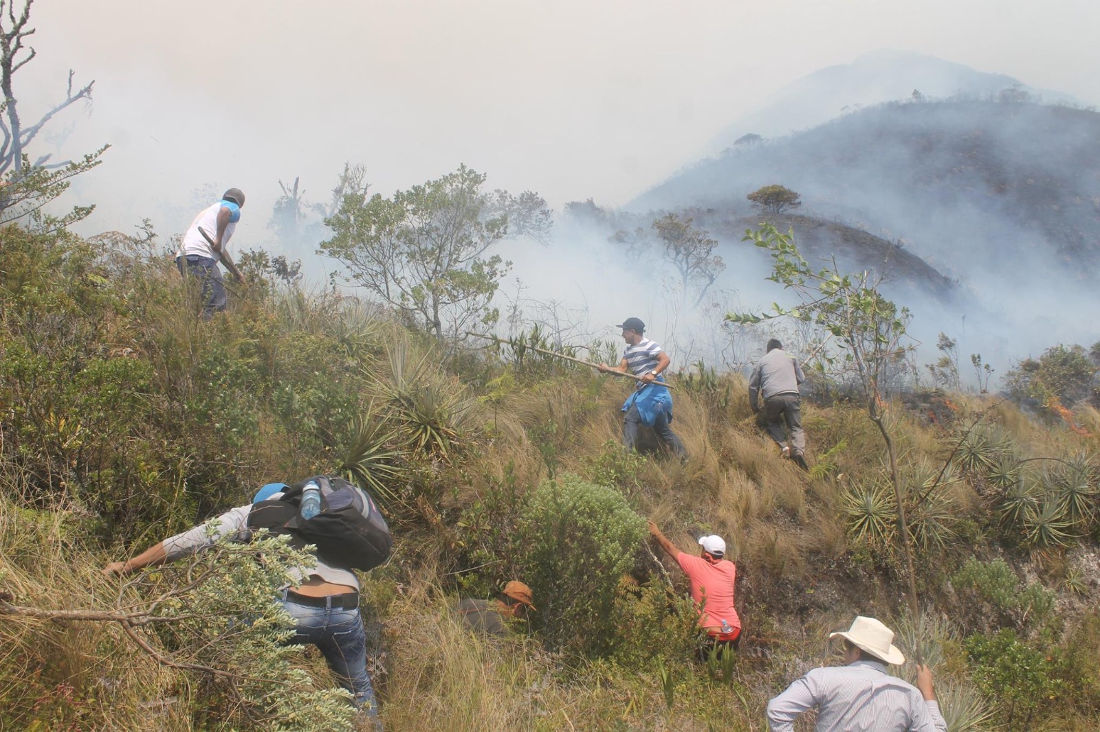 Aeronave especializada de la FAP, gestionada por el GORE Piura, realiza operaciones para combatir incendio forestal en Ayabaca