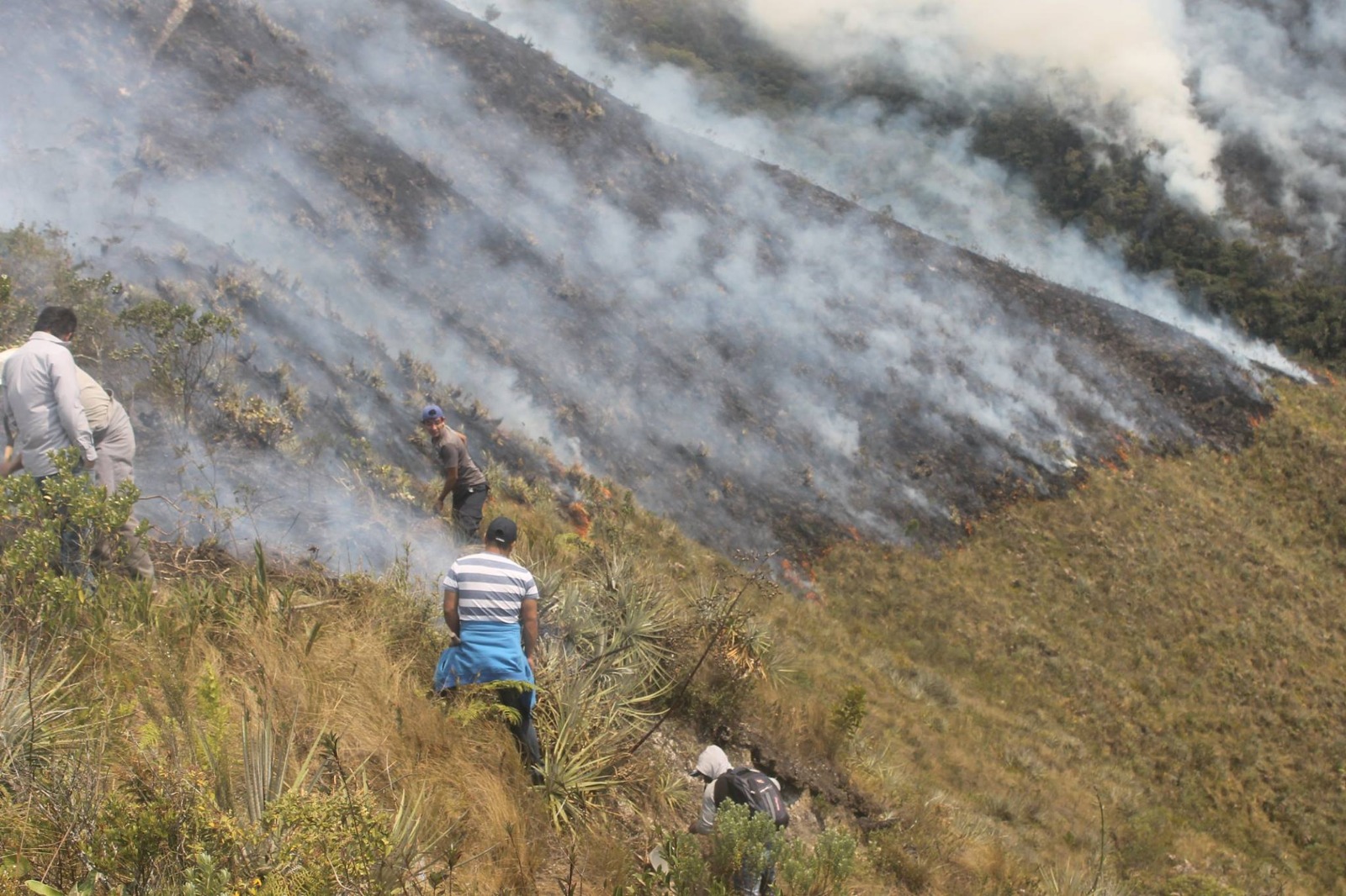 Aeronave especializada de la FAP, gestionada por el GORE Piura, realiza operaciones para combatir incendio forestal en Ayabaca