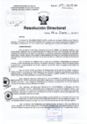 Vista preliminar de documento RD-041-2017 pdf