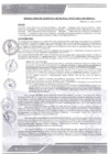 Vista preliminar de documento rgm-0272