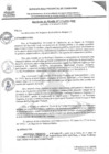 Vista preliminar de documento RAN355-2024