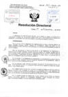 Vista preliminar de documento RD-421 pdf