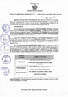 Vista preliminar de documento Resolucion 253