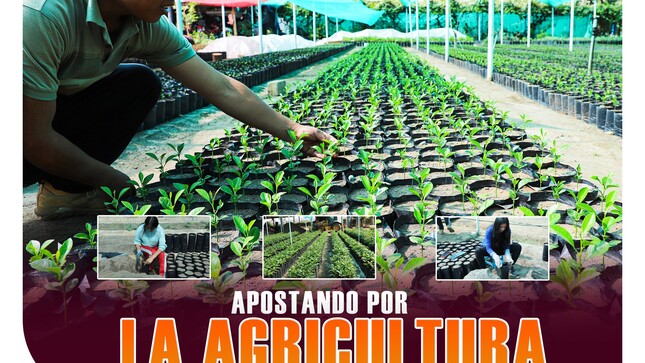 Apostando por la agricultura