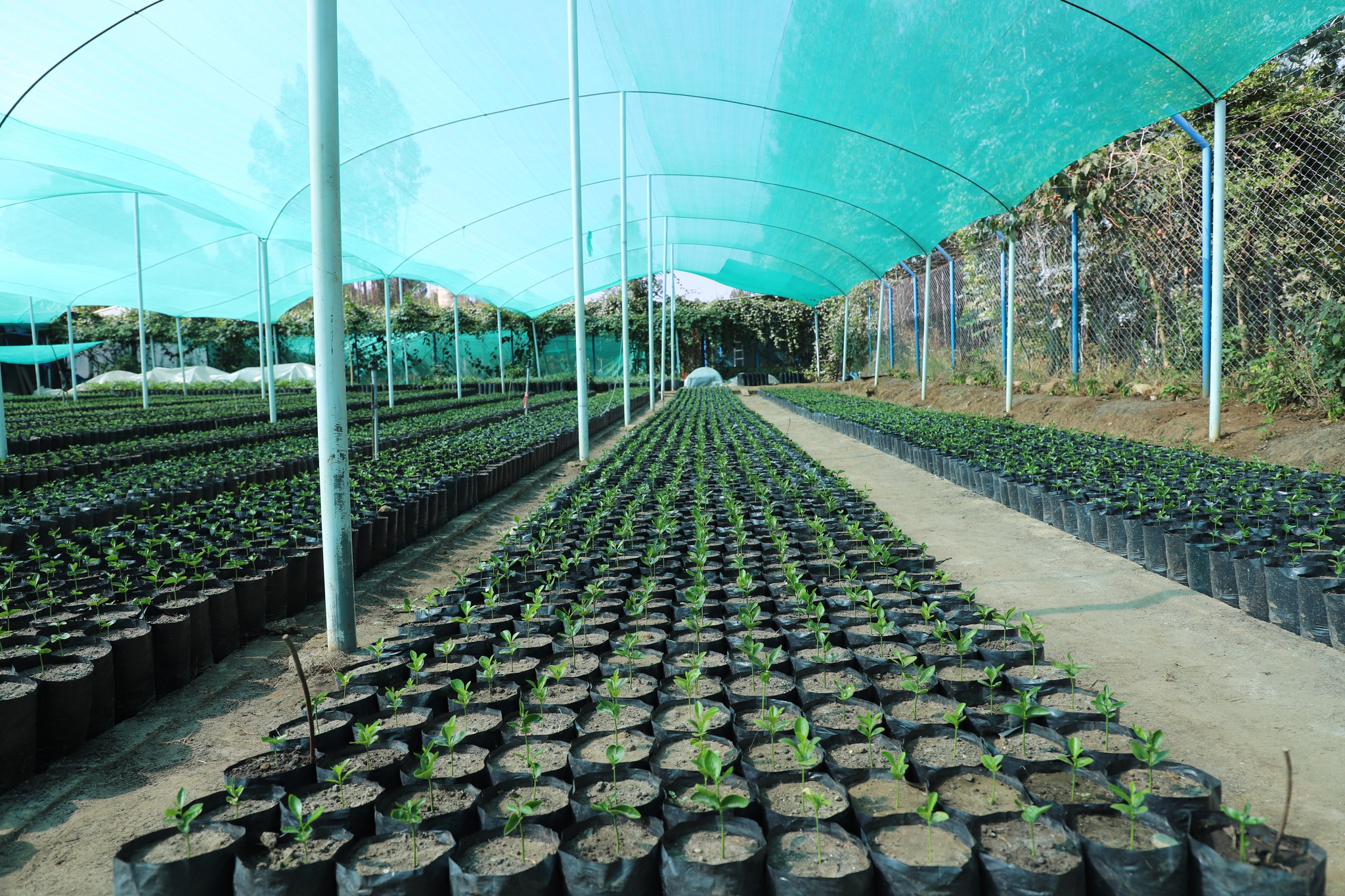 Apostando por la agricultura