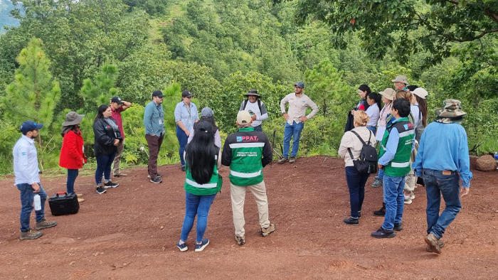 Perú y Honduras clausuran con éxito el proyecto de alertas forestales, promovido por la APCI