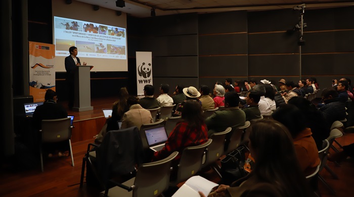 taller lima