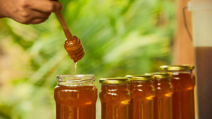 Vraem: Más de 250 apicultores diversifican su economía con la producción de miel de abeja