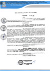 Vista preliminar de documento RA N 274_2024 QR