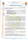 Vista preliminar de documento 2037