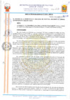 Vista preliminar de documento 2047