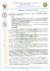 Vista preliminar de documento 20171
