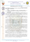 Vista preliminar de documento 20173