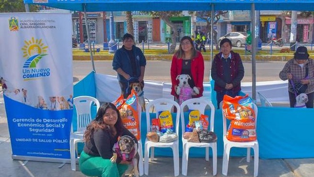 Foto de la reunión 1