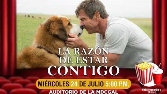 Foto de la reunión 1