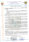 Vista preliminar de documento 20205