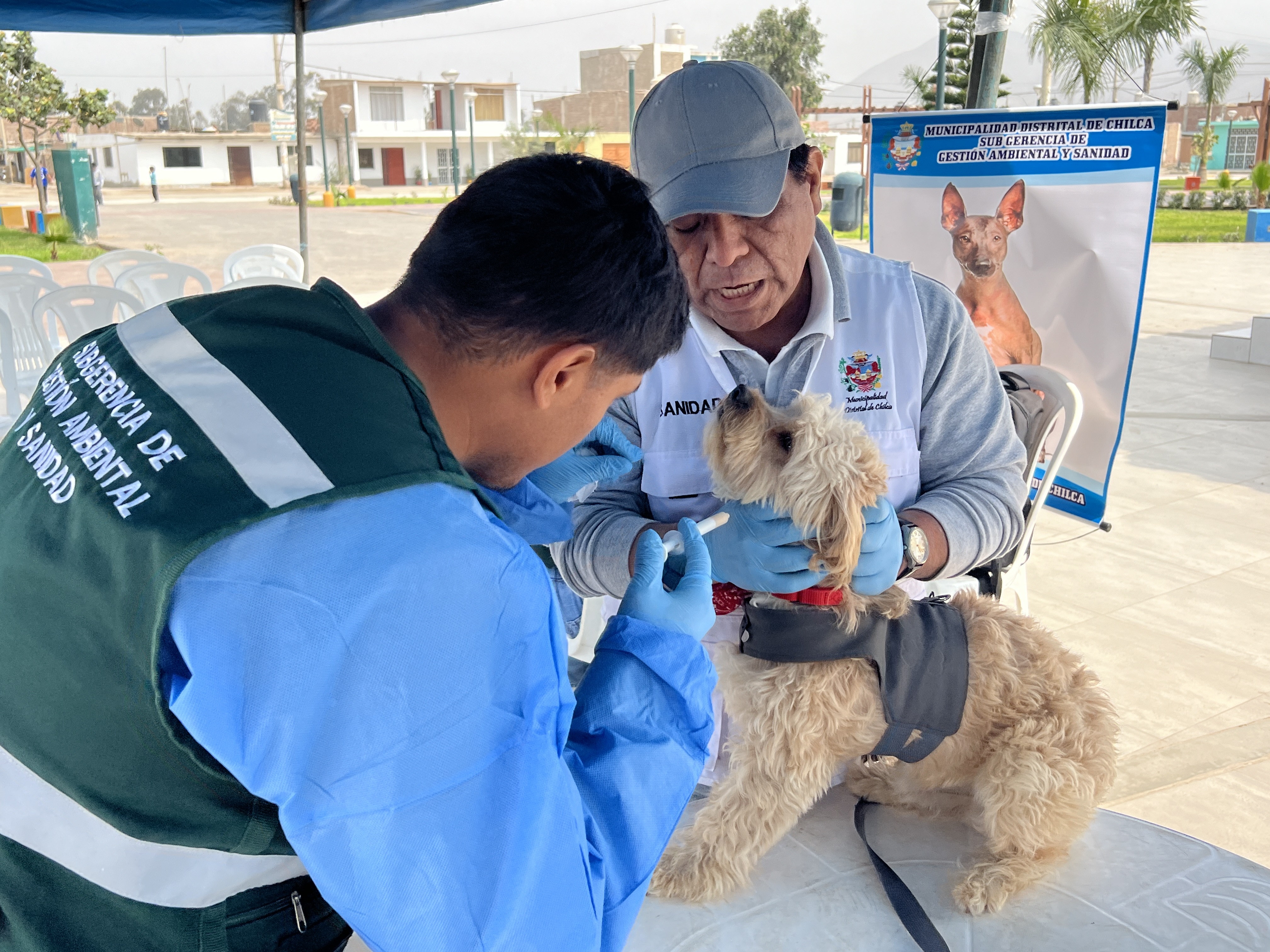 ‘IV Campaña Veterinaria Gratuita 2024’: Municipalidad a favor del bienestar y protección de las mascotas.