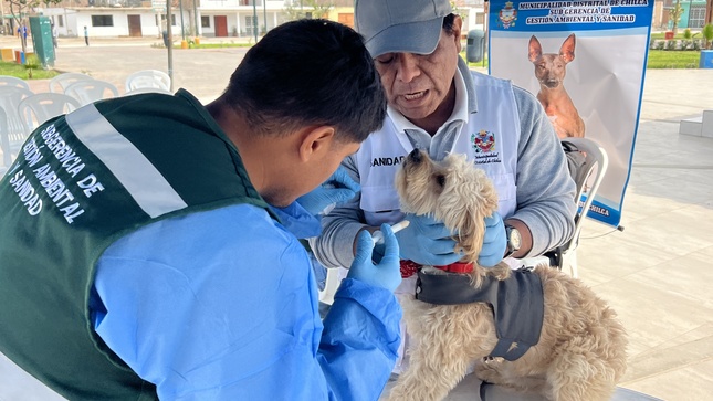 ‘IV Campaña Veterinaria Gratuita 2024’: Municipalidad a favor del bienestar y protección de las mascotas.
