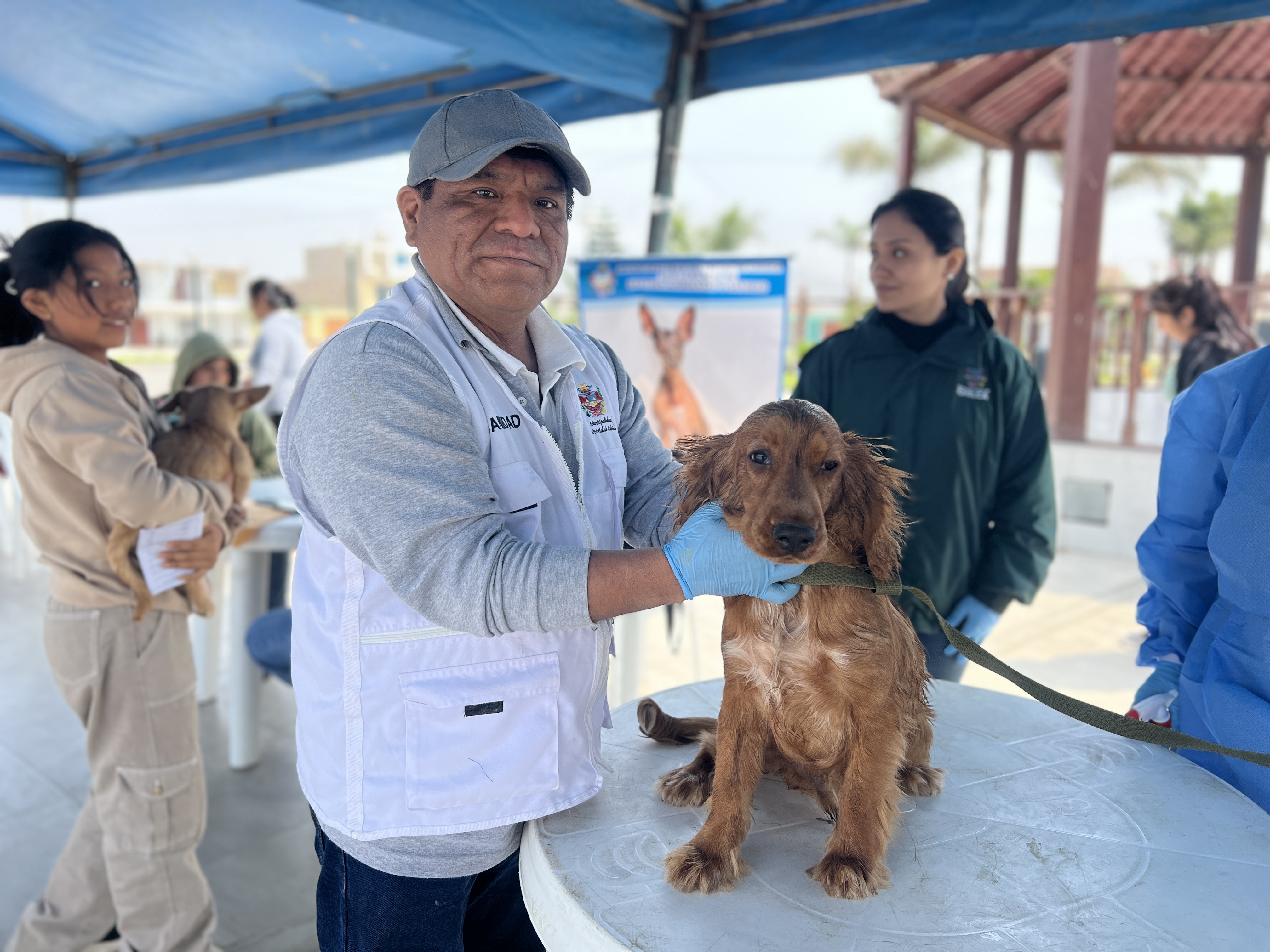‘IV Campaña Veterinaria Gratuita 2024’: Municipalidad a favor del bienestar y protección de las mascotas.