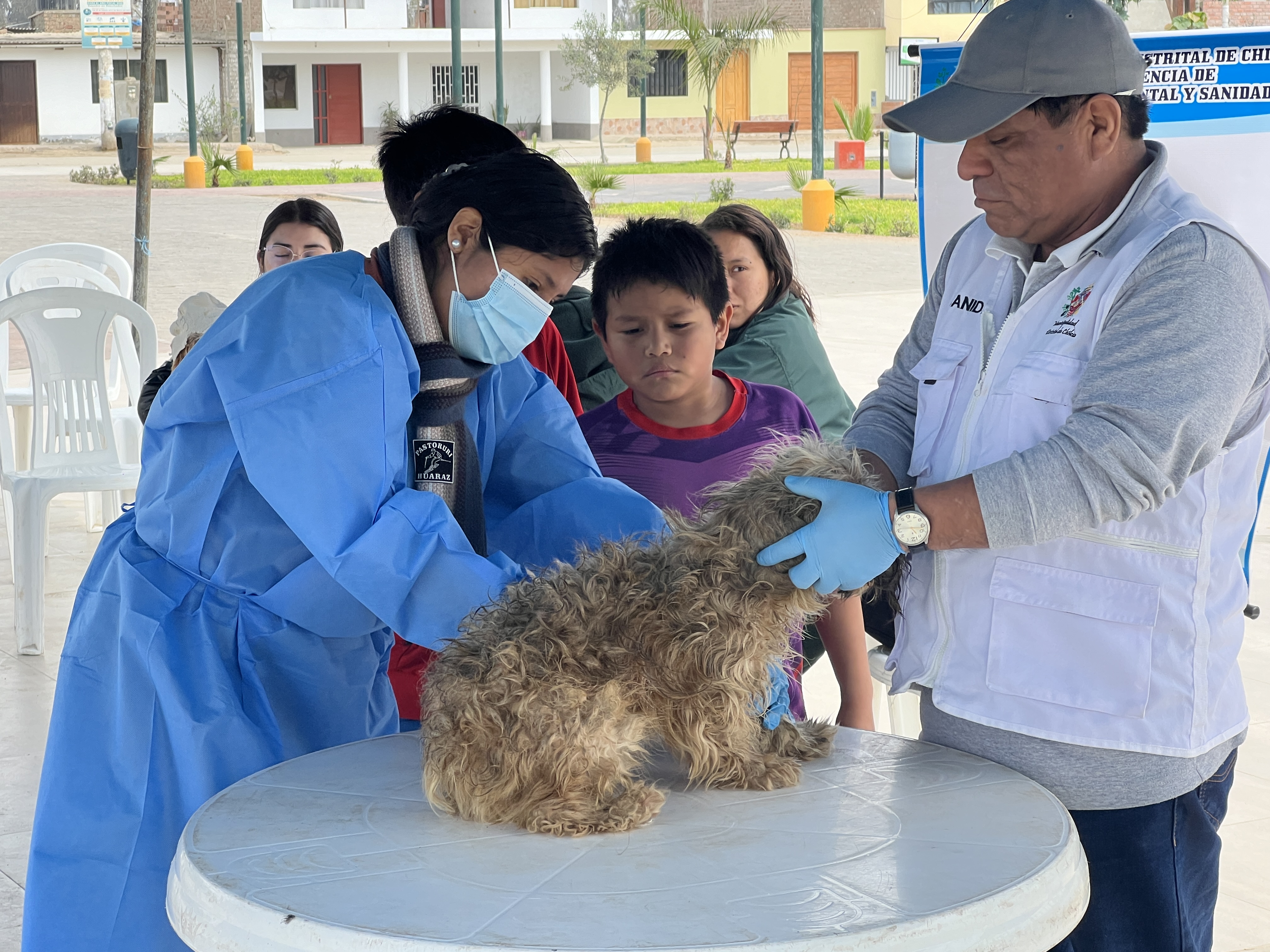‘IV Campaña Veterinaria Gratuita 2024’: Municipalidad a favor del bienestar y protección de las mascotas.