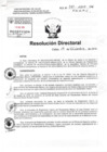 Vista preliminar de documento RD-381_compressed pdf
