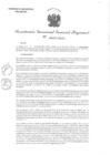 Vista preliminar de documento RGGR 425-2024