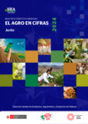 Vista preliminar de documento Boletín Mensual "El Agro en Cifras" - JUNIO 2024