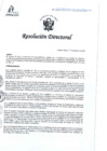 Vista preliminar de documento RD N°268-08-2024-DE-HCLLH-MINSA