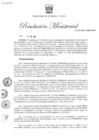 Vista preliminar de documento RM-251-2024-MINEM-DM