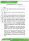 Vista preliminar de documento ra-110