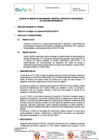 Vista preliminar de documento TDR 2809-2024