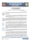Vista preliminar de documento RGM 133