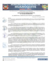 Vista preliminar de documento RGM 134