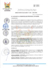 Vista preliminar de documento RA-325-2024-MPHH