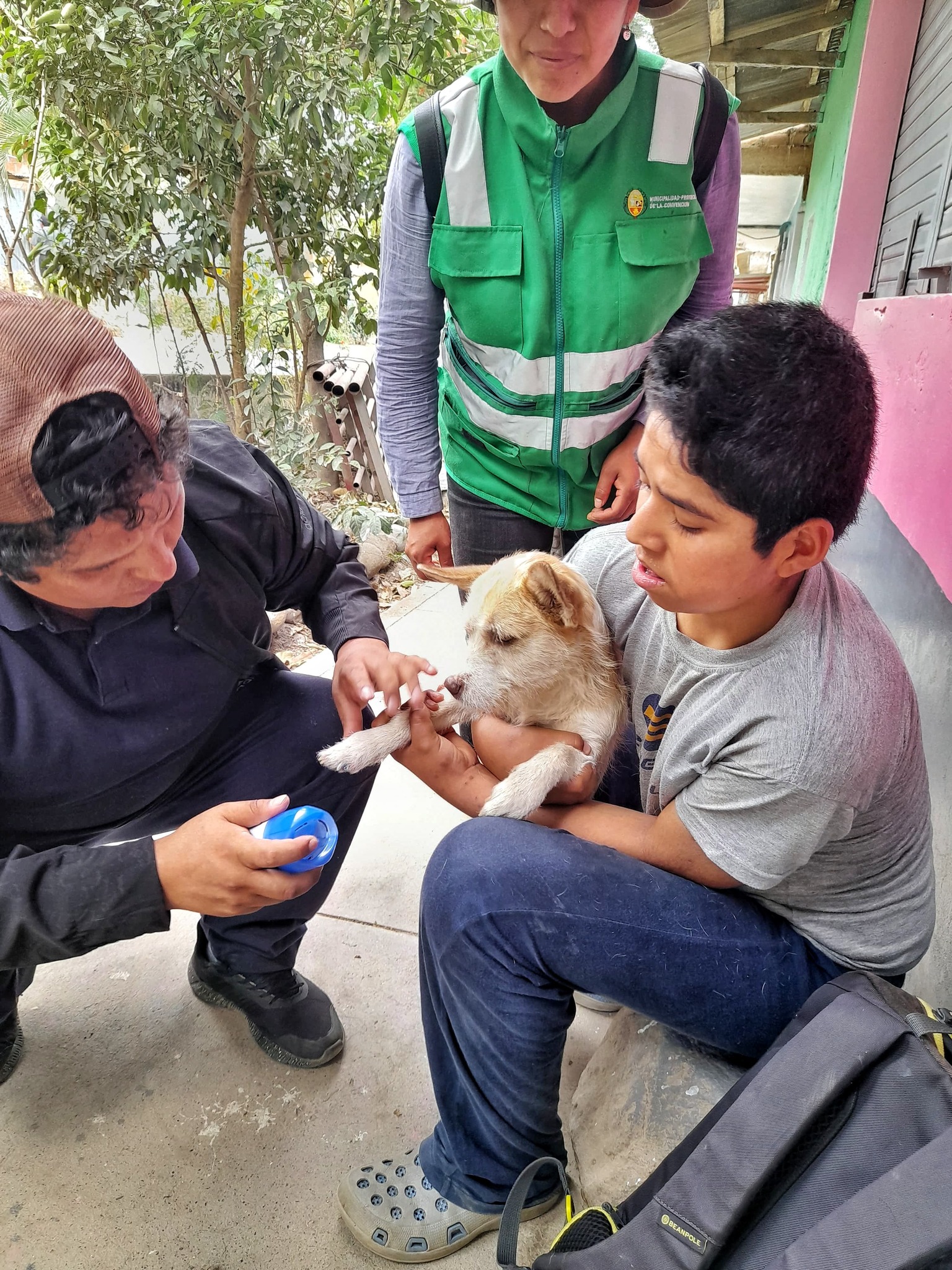 Inscripción y entrega de carnet de identificación de mascotas